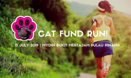 Cat Fund Run 2019